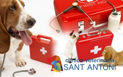Primeros auxilios para animales
