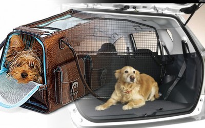 Consejos para viajar con perro