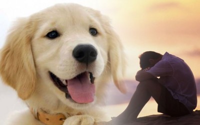Los animales y su ayuda contra la depresion