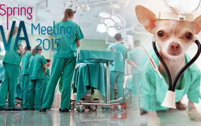 Comienza el Congreso sobre Anestesia en Veterinaria en Cáceres