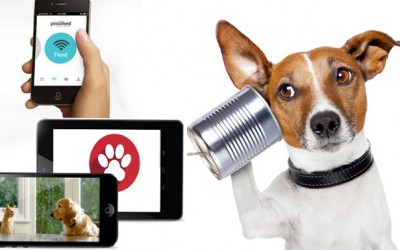 Apps para los amantes de los animales