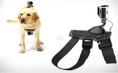 Arnés de Go pro para perros