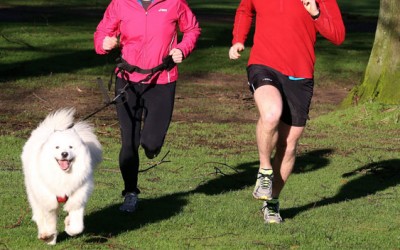 Consejos para salir a correr con el perro