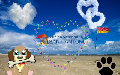 Playas para nuestros perros