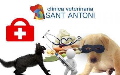 controles médicos periódicos a tu mascota