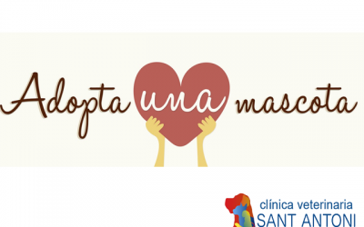 Los beneficios de adoptar una mascota