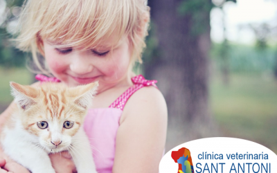 Niños y mascotas: recomendaciones