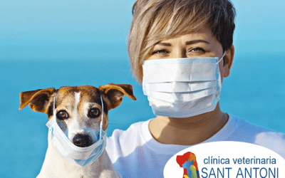Recomendaciones para visitar al veterinario de forma segura durante el COVID-19