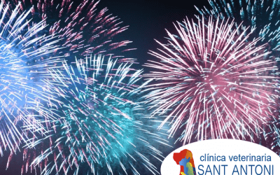 Fiestas y fuegos artificiales: ¿cómo proteger a mi mascota?